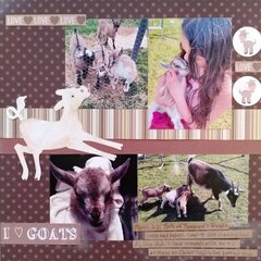 I Love (heart) Goats