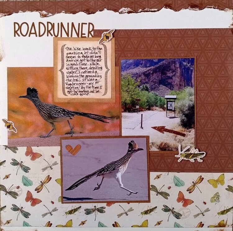 Roadrunner