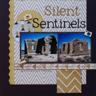 Silent Sentinels