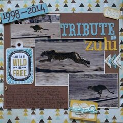 Tribute to Zulu