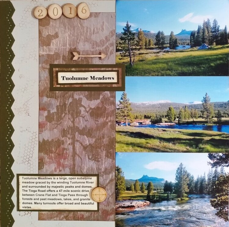 Tuolumne Meadows