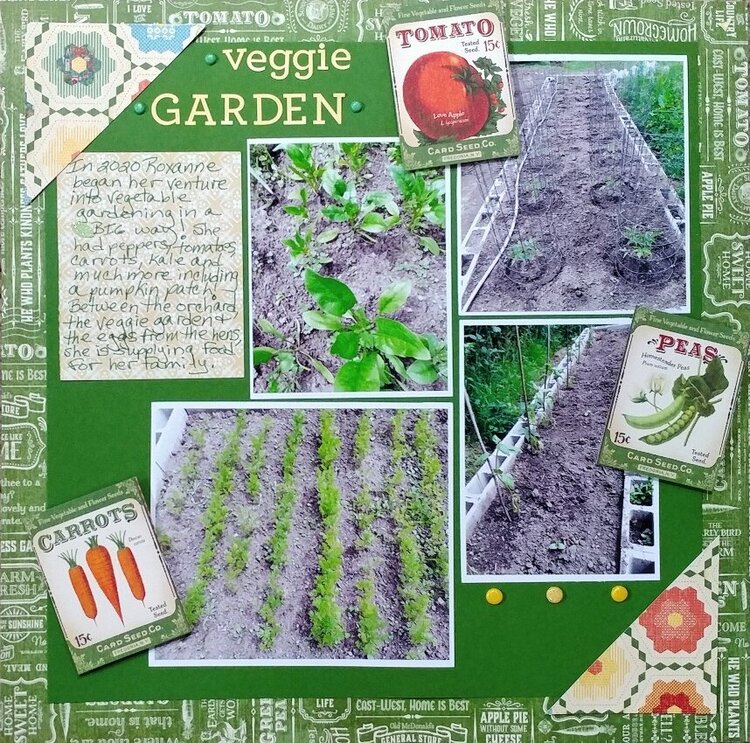 Veggie Garden