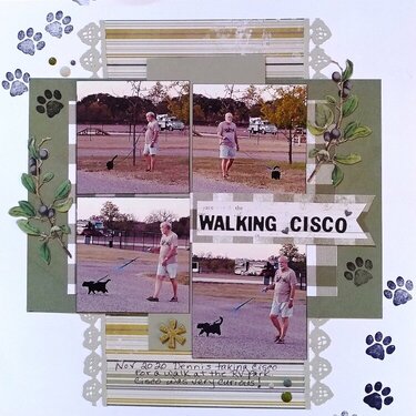 Walking Cisco