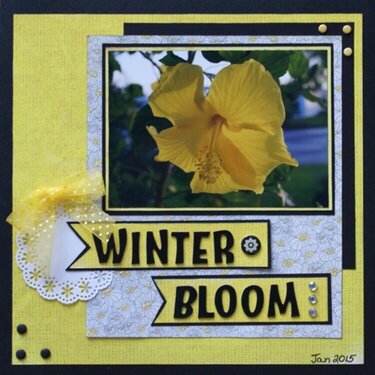 Winter Bloom
