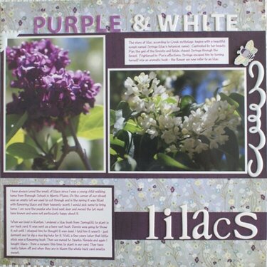 Purple &amp; White Lilacs
