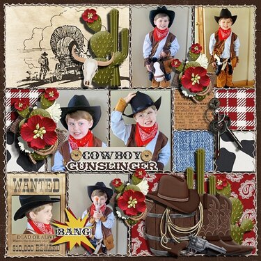 Cowboy gunslinger