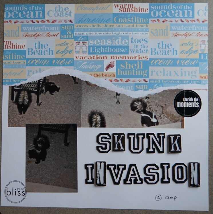 Skunk Invasion