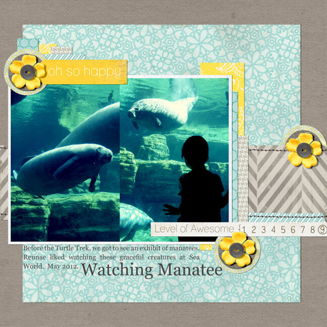 watching Manatee