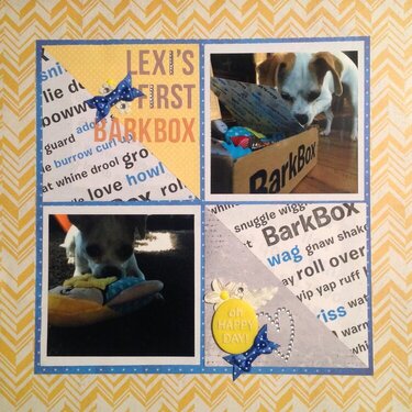 lexi&#039;s first barkbox