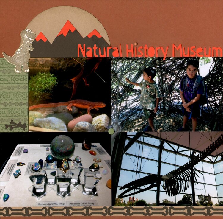 EMS - Natural History Museum