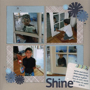 EMS - Shine