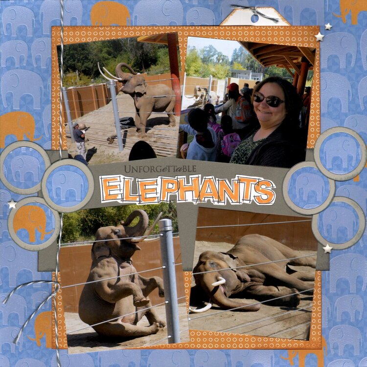 EMS - Unforgettable Elephants