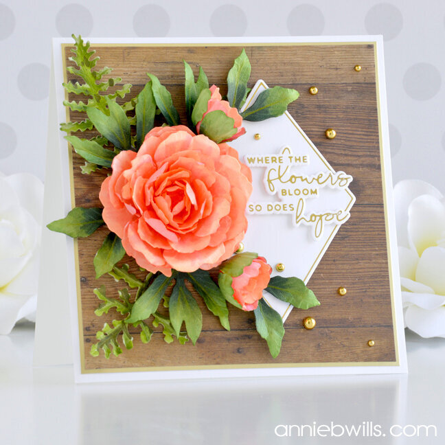 Coral Peony Card