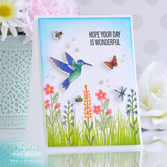 Hummingbird Fields Card