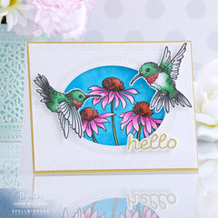 Hummingbird Hello Card