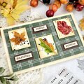 Real Leaves Fall Card using Shaped Dies