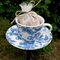 Cup & Saucer Bird Feeder