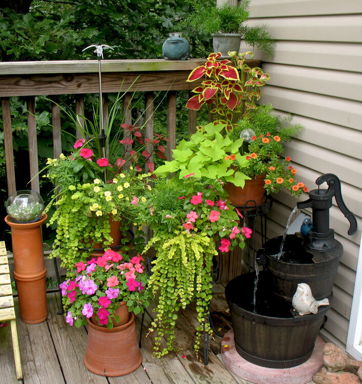 Deck flower arrangement with Creeping Jenny
