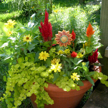 flowers at my deck steps