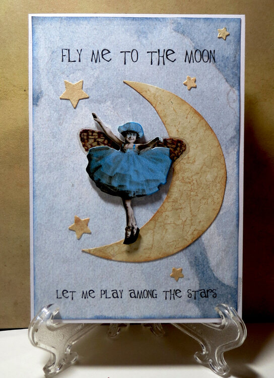 FLY ME TO THE MOON