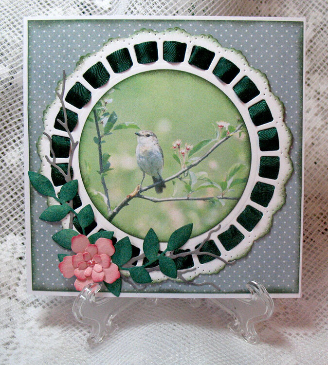 Ribbon Doily card with bird
