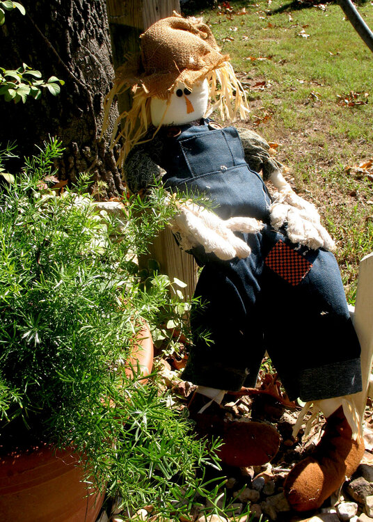 scarecrow (drying out)