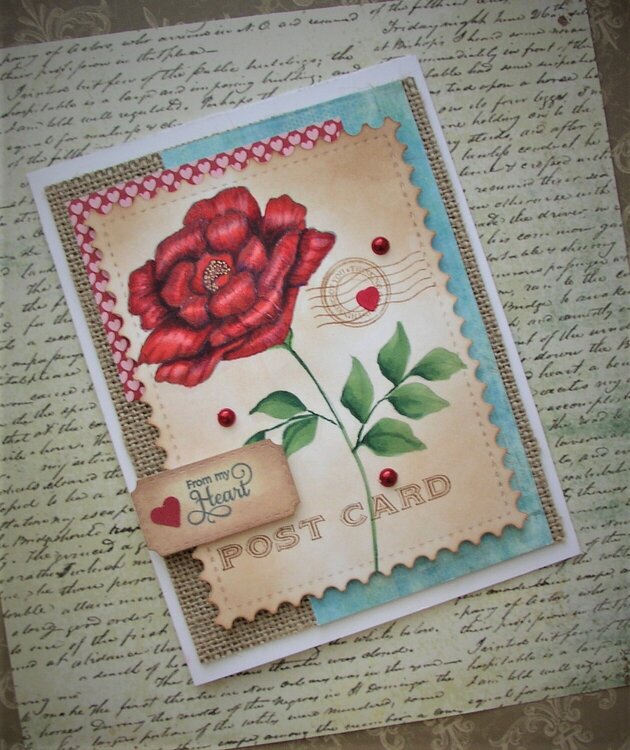 Rose Post Card