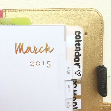 Gold Color Crush planner