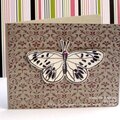 Hero Arts/Martha Stewart Butterfly Card