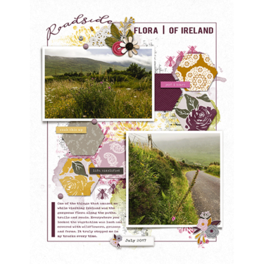 Roadside Flora of Ireland