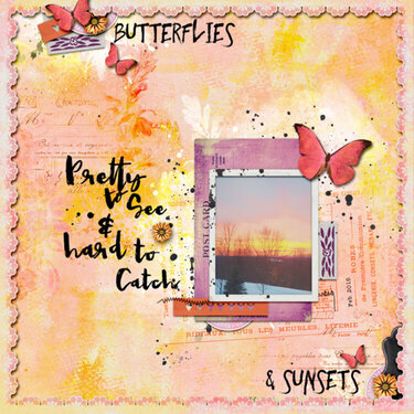 Butterflies &amp; Sunsets