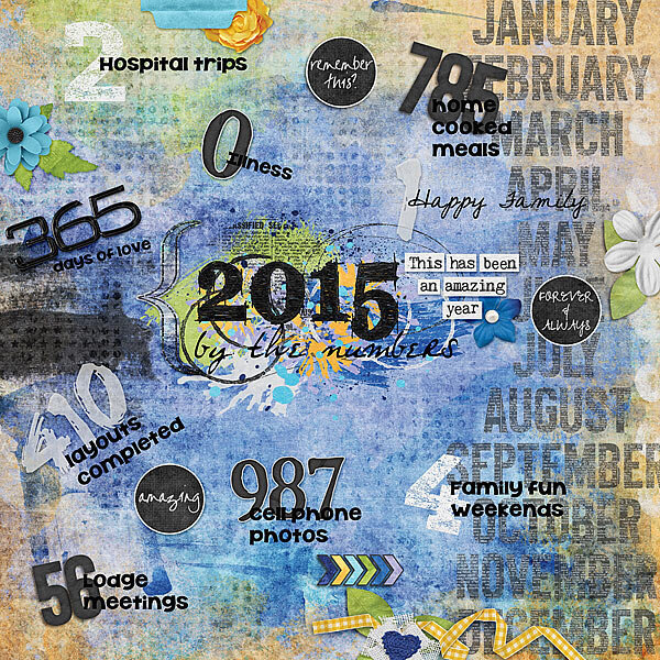 2015 by the Numbers