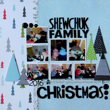 Shewchuk Family Christmas | Diana Poirier