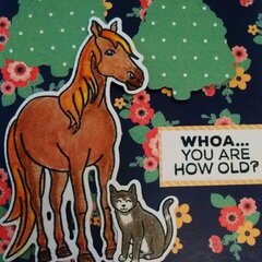 Hanna The Horse Birthday Card