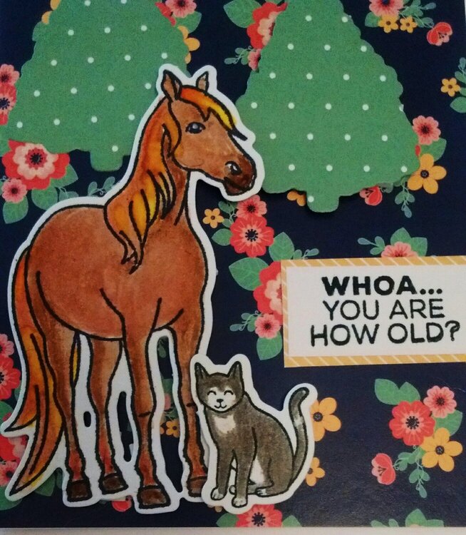 Hanna The Horse Birthday Card