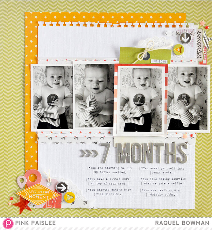 7 Months *Pink Paislee &amp; Pagemaps&#039;