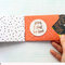 Envelope Minibook