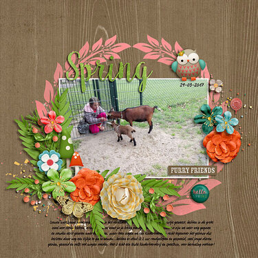 Spring - Furry friends