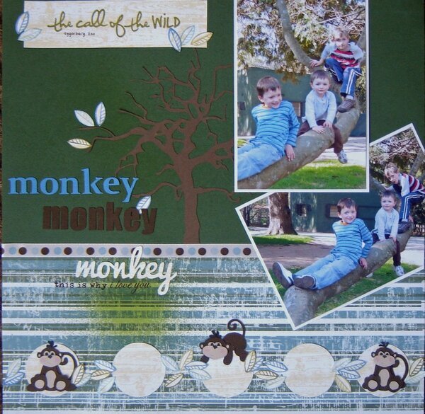 Monkey monkey monkey