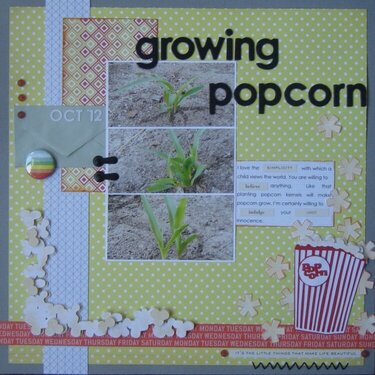 Growing popcorn *CG 2012*