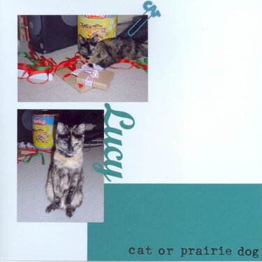 DW 2006 - Cat or Prairie Dog