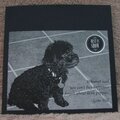 Dog Gift Album