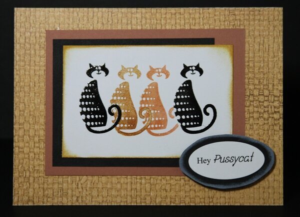 Really "Catty"