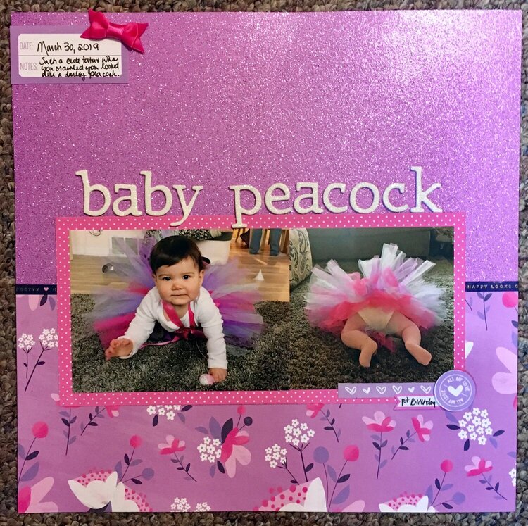 Baby Peacock