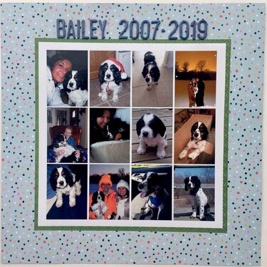 Bailey 2007-2019