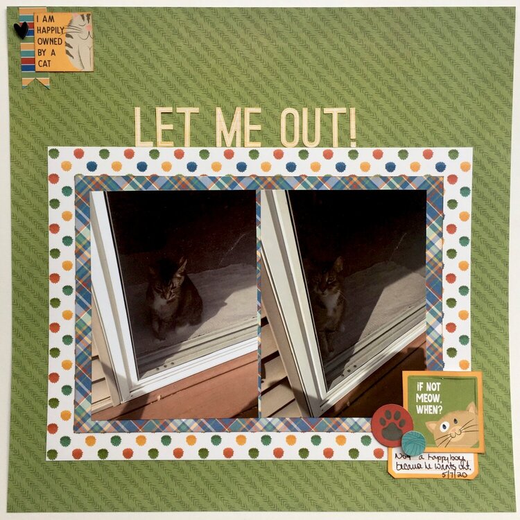 Let Me Out!