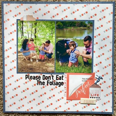Please Dont Eat the Foliage