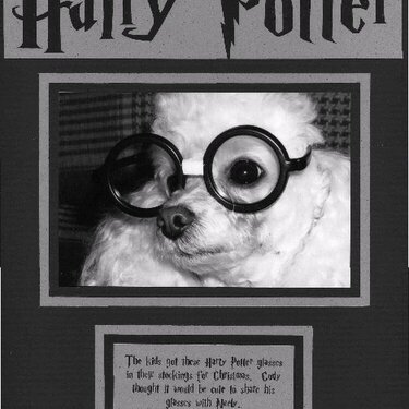 Hairy Potter