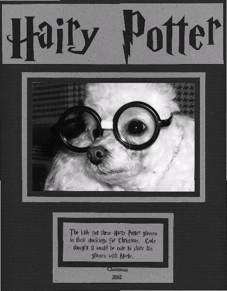 Hairy Potter