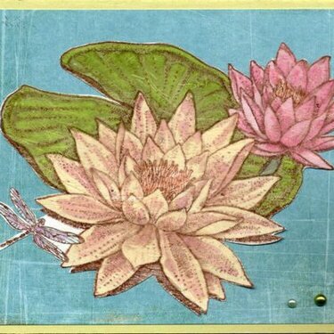 Waterlilly card
